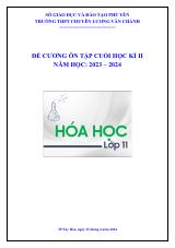 Đề cương ôn tập Học kì 2 Hóa học 11 năm 2023–2024 trường THPT chuyên Lương Văn Chánh (Đắk Lắk)